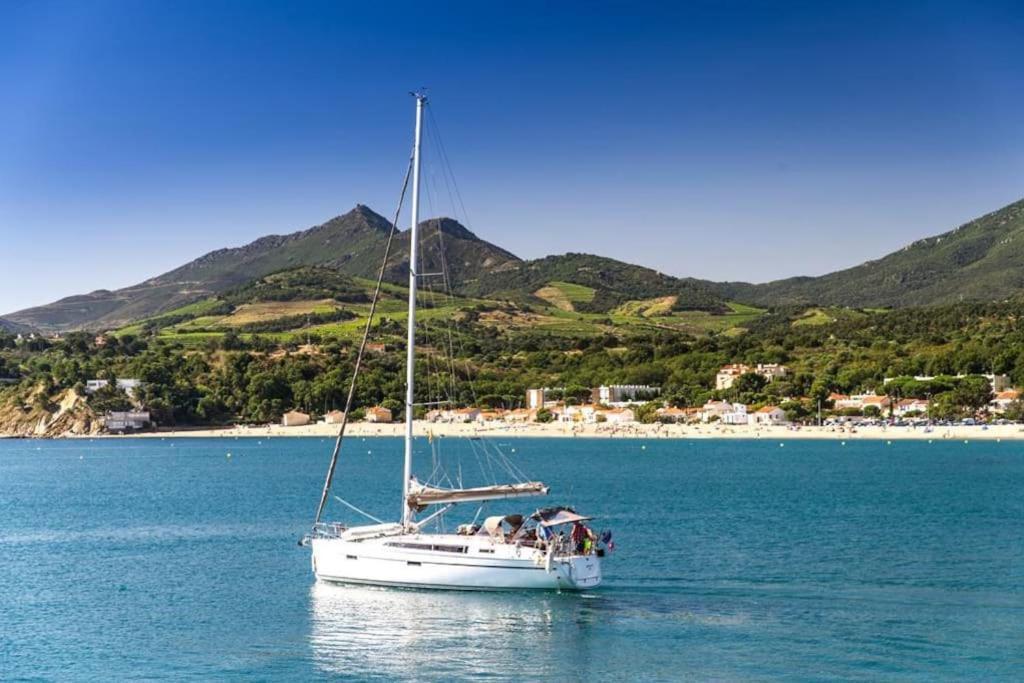"Les Bambous" Studio Cosy Climatise Au Calme De 37 M2 Parking Gratuit A Argeles Sur Mer Esterno foto