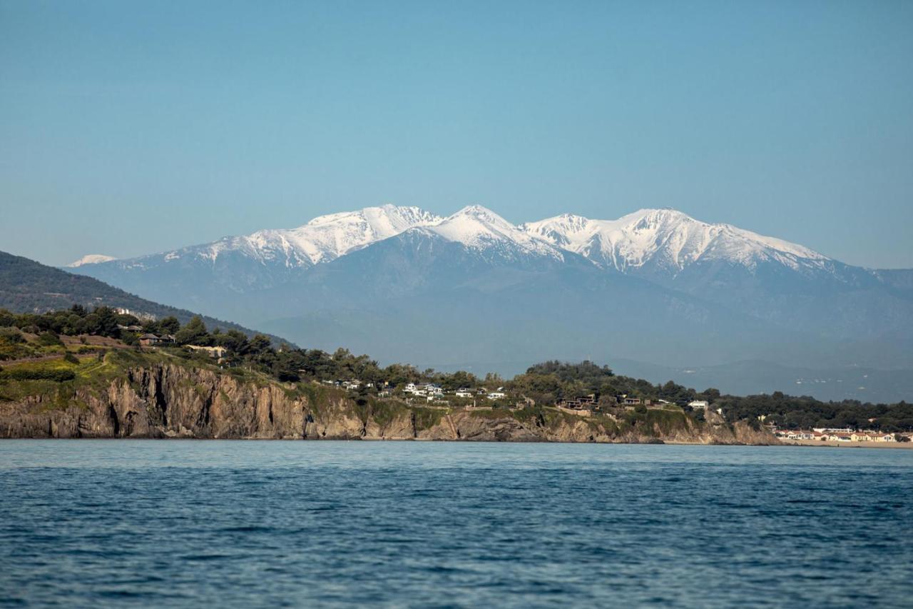 "Les Bambous" Studio Cosy Climatise Au Calme De 37 M2 Parking Gratuit A Argeles Sur Mer Esterno foto